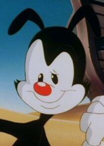 Yakko Warner Yakko Warner