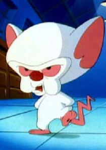 The Brain The Brain
