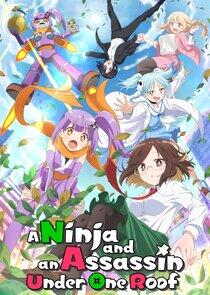 A Ninja and an Assassin Under One Roof - Season 1