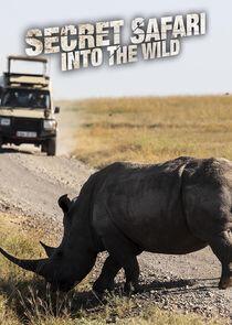 Secret Safari: Into the Wild Secret Safari: Into the Wild