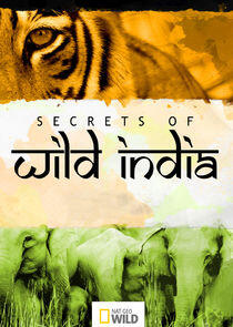Secrets of Wild India Secrets of Wild India