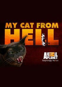 My Cat from Hell My Cat from Hell