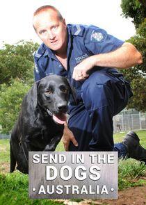 Send in the Dogs Australia Send in the Dogs Australia
