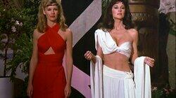 Surrogate Mother / The Ideal Woman