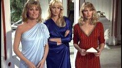 Lady of the House / Mrs. Brandell's Favorites