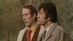 Blind Alley Blind Alley