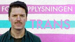 Trans Trans