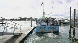 Beggin' for a Bluefin