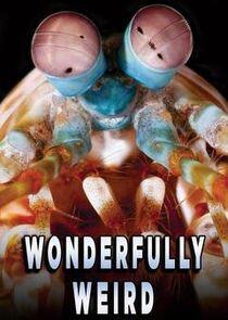 Wonderfully Weird Wonderfully Weird