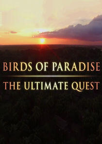 Birds of Paradise: The Ultimate Quest Birds of Paradise: The Ultimate Quest