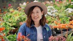 Episode 27 - Spring: Garden for Birds & No-Mow Lawn Episode 27 - Spring: Garden for Birds & No-Mow Lawn