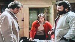 Egg and Cress Sandwiches