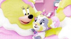 Happy Barkday Happy Barkday