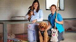 Waffle and Pepper Waffle and Pepper