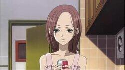 Hachi's Confused Heart