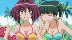 It's the Summer! It's the Pool! It's Embarrassing It's the Summer! It's the Pool! It's Embarrassing