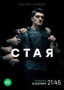 Стая Стая