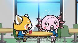 Episode 26 Episode 26