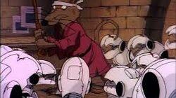 A Thing About Rats A Thing About Rats