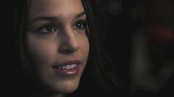 Live Free or Twihard Live Free or Twihard