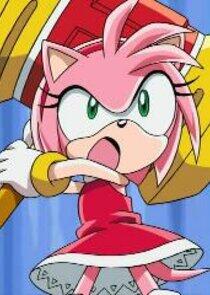 Amy Rose Amy Rose