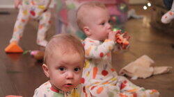 Christmas Miracles & Meltdowns Christmas Miracles & Meltdowns