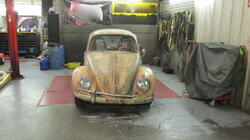 Papa's Got a Brand New Bug