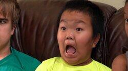 8 Little Johnstons? 8 Little Johnstons?