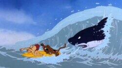 No Sharking Zone No Sharking Zone