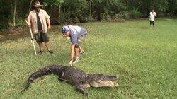 Gatorzilla Gatorzilla
