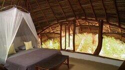 The Quest for a Dream Vacation in Tahiti The Quest for a Dream Vacation in Tahiti