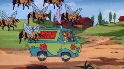 The Bee Team The Bee Team