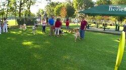Beneful's Dream Dog Park Beneful's Dream Dog Park