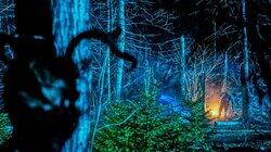 Was It Trying to Kill Me? and The Blue Ridge Encounters Was It Trying to Kill Me? and The Blue Ridge Encounters