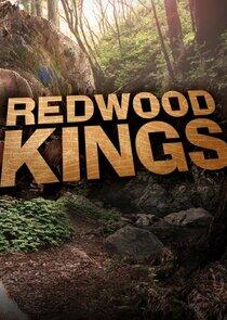 Redwood Kings Redwood Kings