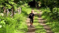 Green Travel Green Travel