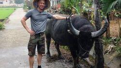 Vietnam Vietnam