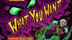 What You Want What You Want