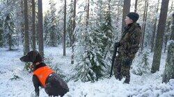 Häirikkösusi Häirikkösusi