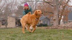 Zoey Zoey