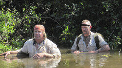 Bogged Down Bogged Down