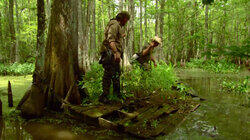 Gator Bait Gator Bait