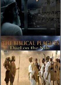 The Biblical Plagues The Biblical Plagues