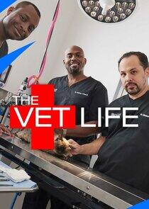 The Vet Life The Vet Life