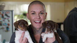 Puppy Overload Puppy Overload