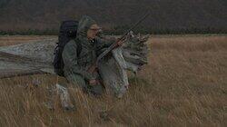 Call of the Wild Call of the Wild