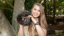 Wildlife Hospital Warriors Wildlife Hospital Warriors