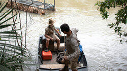 Bindi's Croc Trip Surprise Bindi's Croc Trip Surprise