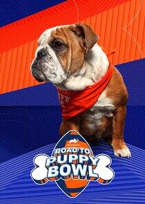 Road to Puppy Bowl Road to Puppy Bowl