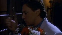 Loved to Death Loved to Death